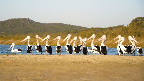 Castaways Moreton Island - Broome Tourism 11