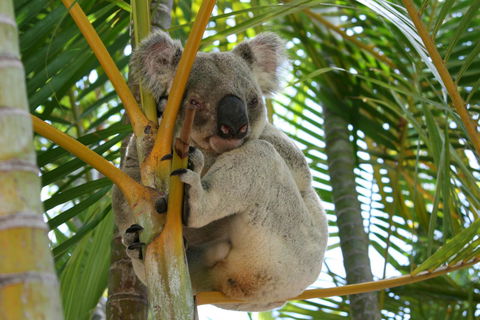 Amaroo On Mandalay, Magnetic Island - Broome Tourism 44