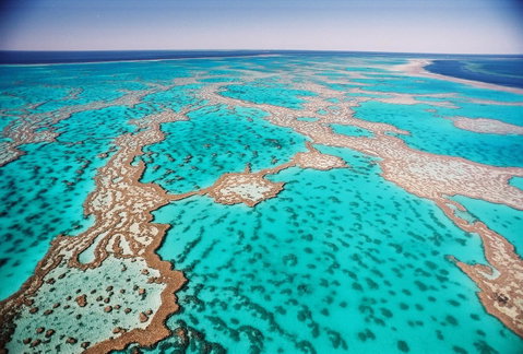 Poinciana 112 - Broome Tourism 20