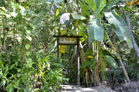 PK\'s Jungle Village - Broome Tourism 23