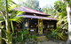 PK\'s Jungle Village - thumb 14