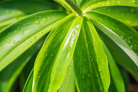 Port Douglas Motel - Broome Tourism 27