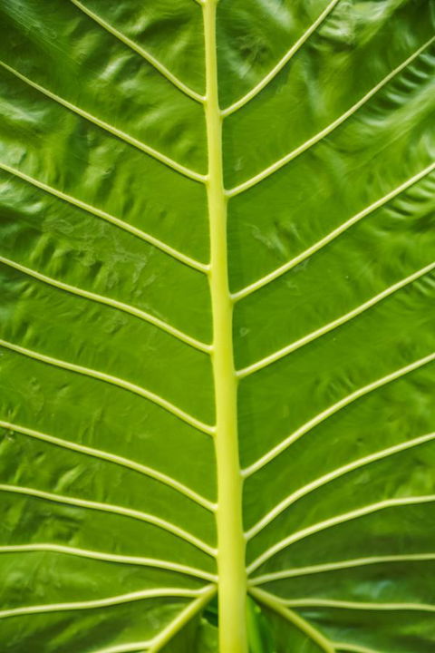 Port Douglas Motel - Broome Tourism 24