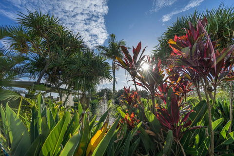 Currumbin Sands On The Beach - Broome Tourism 9