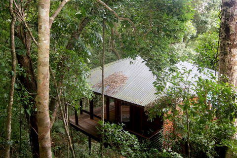 Cairns Rainforest Retreat - Broome Tourism 0