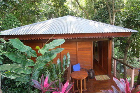 Cairns Rainforest Retreat - Broome Tourism 5