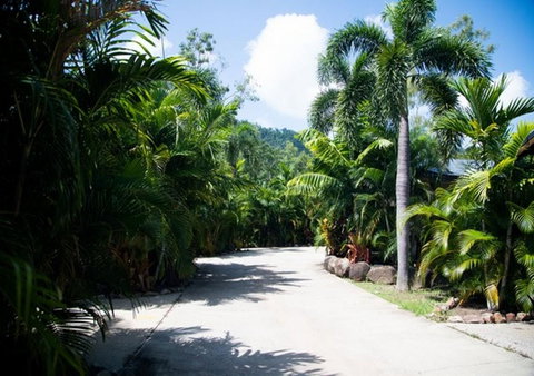 NRMA Airlie Beach Holiday Park - Broome Tourism 17