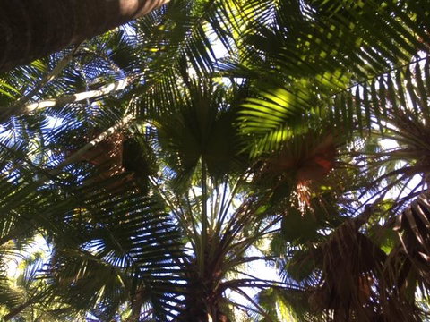 Casuarina - Broome Tourism 11