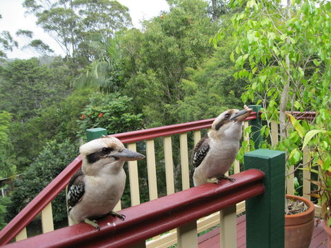 Shasta Place - Broome Tourism 12