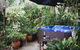 Shasta Place - thumb 6