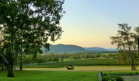 Winmark Wines