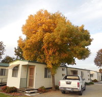 Wodonga Caravan  Cabin Park