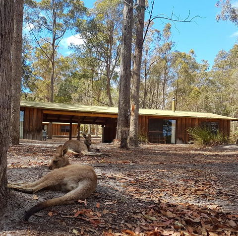 Woodbine Park Eco Cabins - Broome Tourism 2
