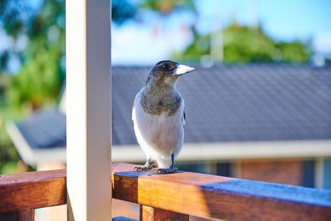 A Kids Dream & Paradise For Parents - Broome Tourism 2