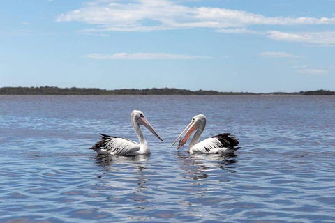 Amazing Ansons Bay Remote Paradise For The Family In The Bay Of Fires Area - Broome Tourism 2