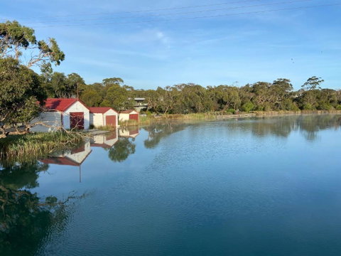 Anglesea Rivergums - Broome Tourism 1