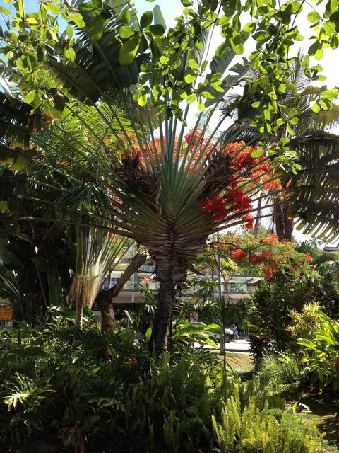 Port Douglas Apartments - Adults Only Oasis - Broome Tourism 39