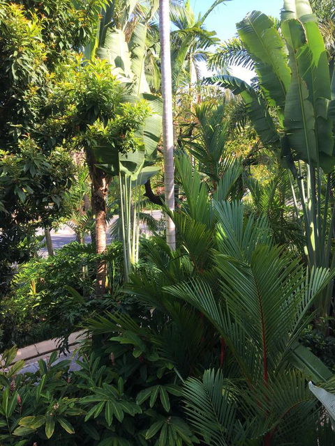 Port Douglas Apartments - Adults Only Oasis - Broome Tourism 1