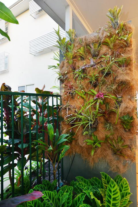 Port Douglas Apartments - Adults Only Oasis - Broome Tourism 27