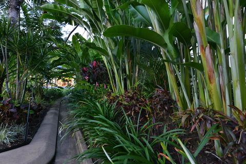 Port Douglas Apartments - Adults Only Oasis - Broome Tourism 9