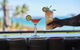 Cable Beach Club Resort & Spa - thumb 2