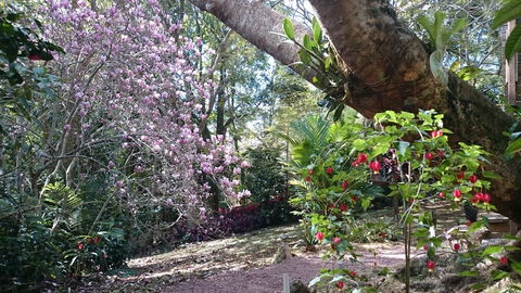 305 Montville - The Artist's Cottage - Broome Tourism 3