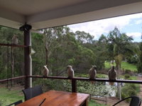 Book Upper Coomera Accommodation Vacations Broome Tourism Broome Tourism