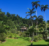 A Daintree Garden - Broome Tourism