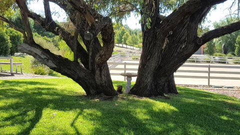 Equestrian Farm Stay - Broome Tourism 0