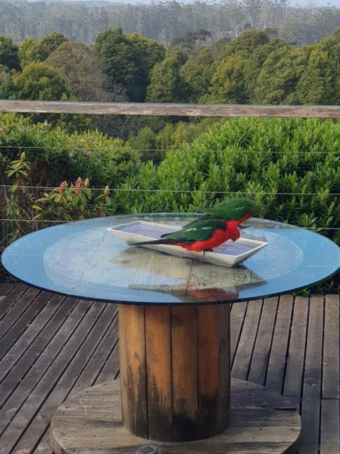 Gone Surfin - Broome Tourism 2