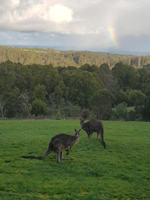 Gone Surfin - Broome Tourism 1
