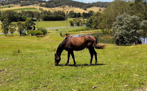 Honeycomb Hill Of Yarra Valley - Broome Tourism 3