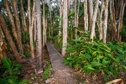 Agnes Palms Accommodation - Broome Tourism 0