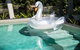 Alkira Award Winning Luxury Beachfront Rainforest Holiday House - thumb 2