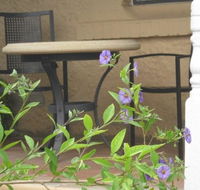 Amalie Cottage Waikerie - Broome Tourism