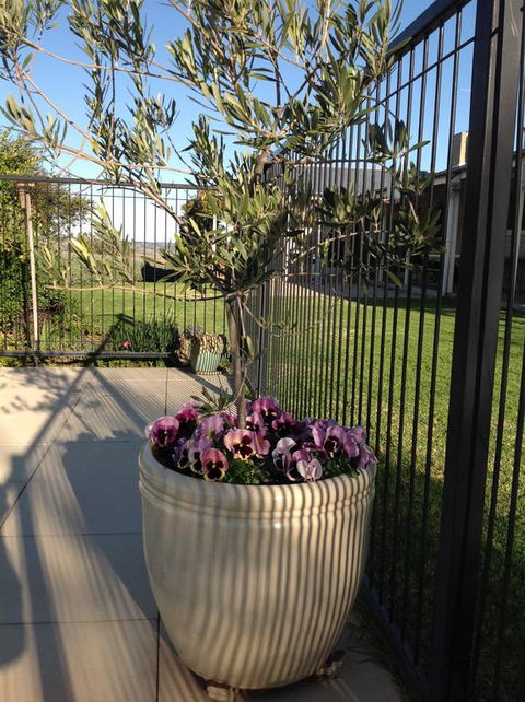 Amazing Views Pet Friendly Bed And Breakfast - Broome Tourism 3
