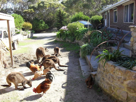 Anchorage Apartments - Broome Tourism 0