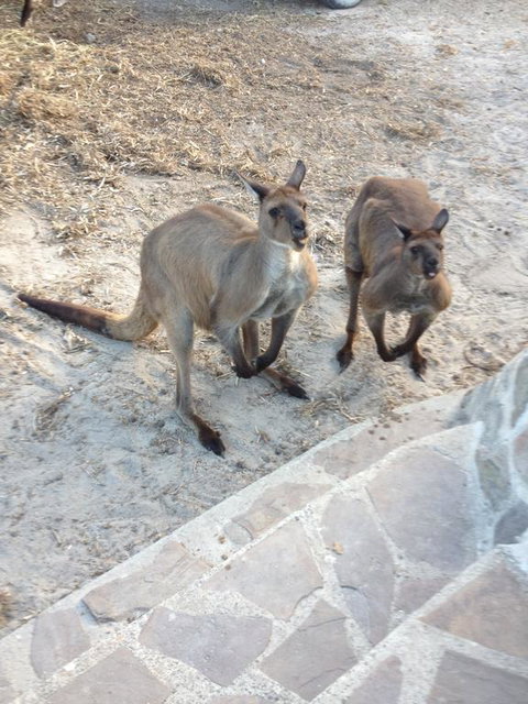 Anchorage Apartments - Broome Tourism 1
