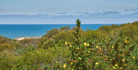 API Preston Beach Front Apartments - Broome Tourism 2