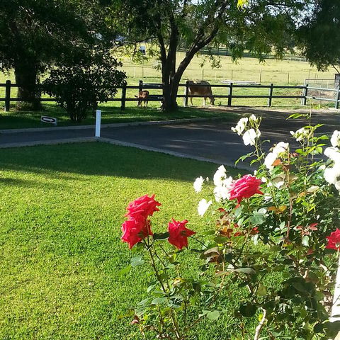 Appin Homestay B & B - Broome Tourism 3
