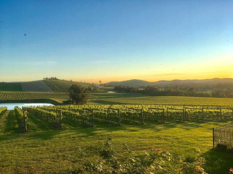 Mount Hope Estate Vineyard - Broome Tourism 0