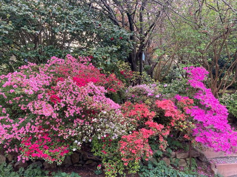 Mountain Villa In Dandenong Ranges - Broome Tourism 1