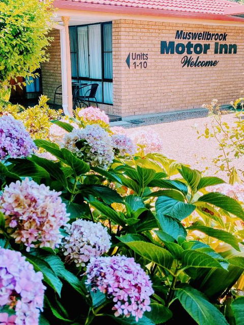 Muswellbrook Motor Inn - Broome Tourism 0