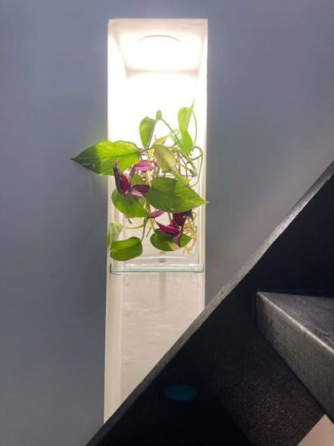 Nature Retreat & Artists Studio 90mins From Sydney - Broome Tourism 2