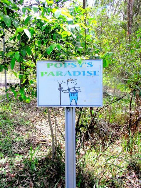 Nature Retreat & Artists Studio 90mins From Sydney - Broome Tourism 3