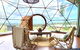 Noosa Earth Element Dome - Breathtaking Views - thumb 3