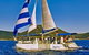 Peace In Paradise Near Nelson Bay- Waterviews, Spa, Adventures - thumb 3