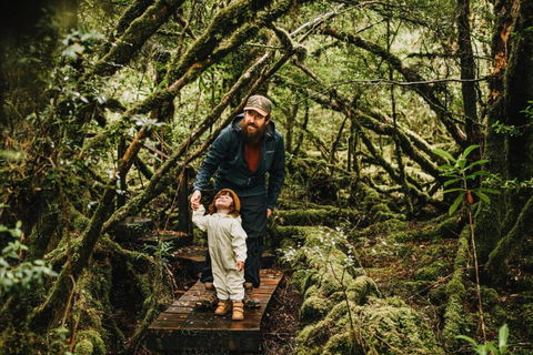 Pine Edge Heights By Tiny Away - Broome Tourism 3