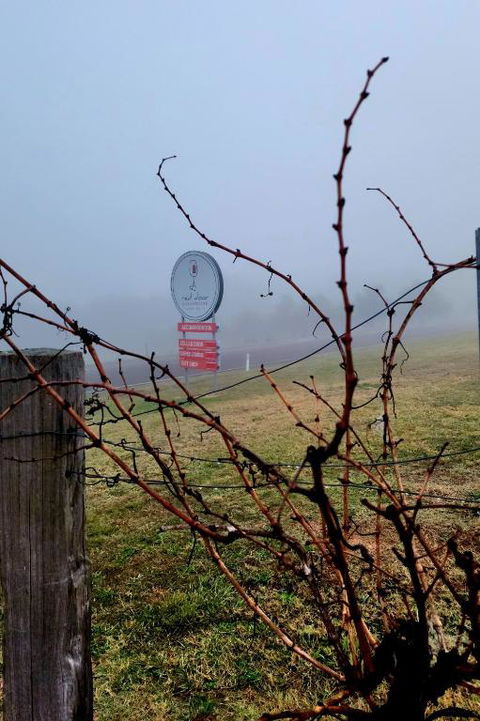 Red Door Collective - RDC Vineyard Estate, Luxury Adult Only Stay - Broome Tourism 3