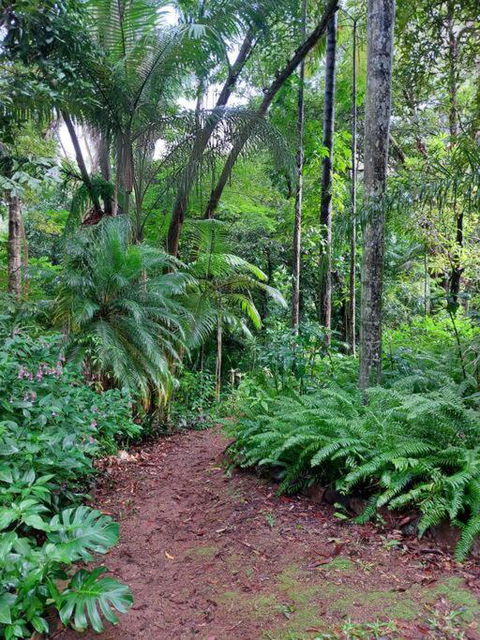 Rainforest Retreat-Fireplace-BBQ-3 Acres- - Broome Tourism 0